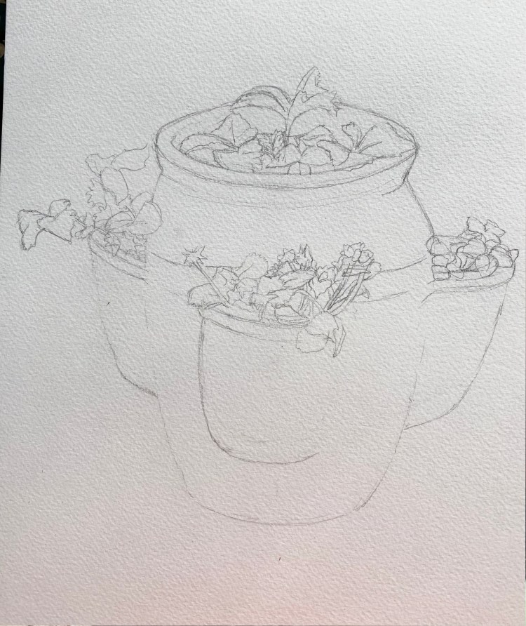 terracotta plat pot drawing