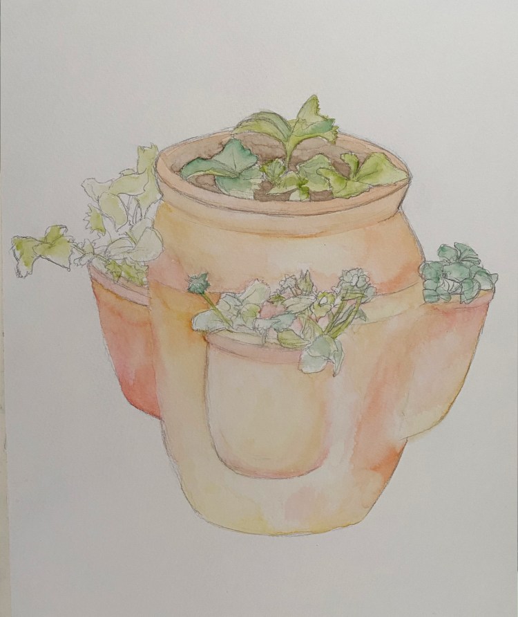 terracotta plat pot layer 1