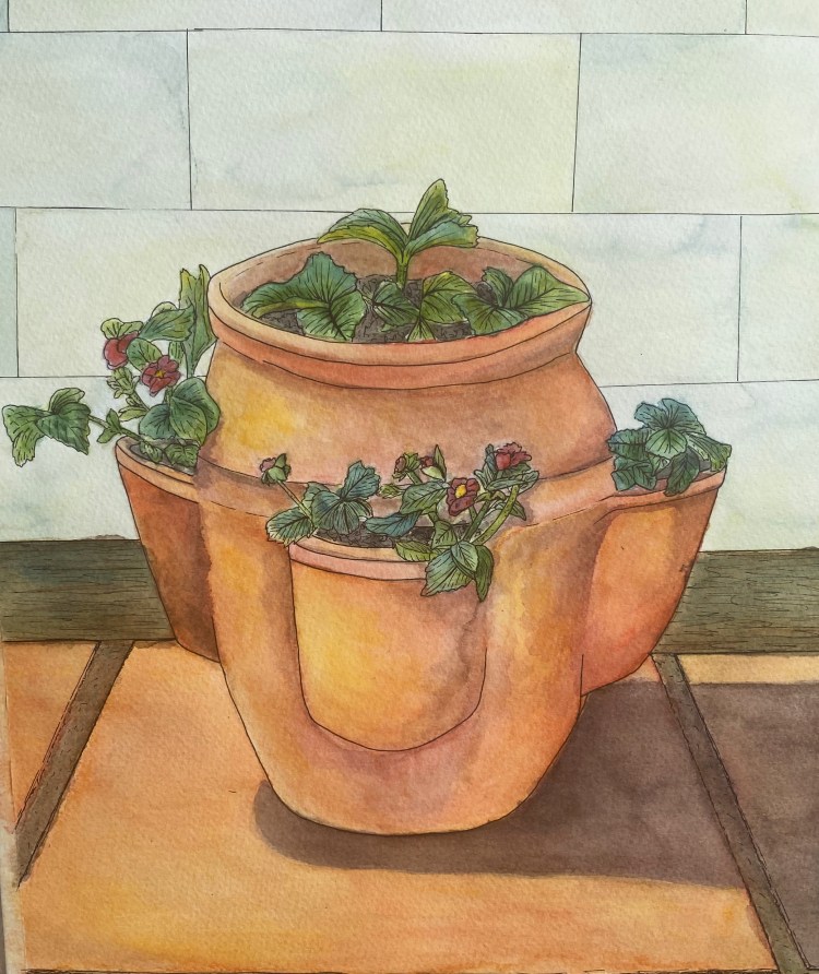 terracotta plat pot pen
